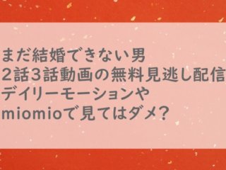まだ結婚できない男2話3話動画